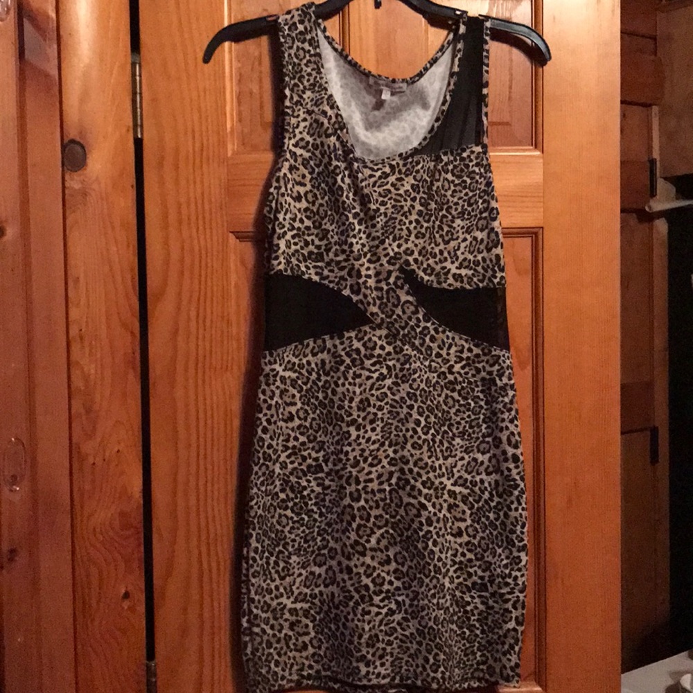Tight Leopard and Mesh Dress